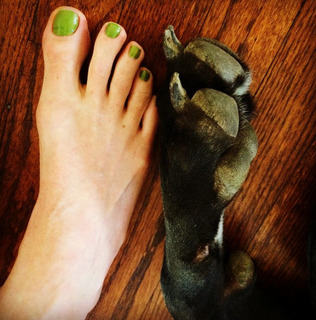 Torri Higginson feet photo 2