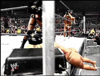 Torrie Wilson feet photo thumbnail
