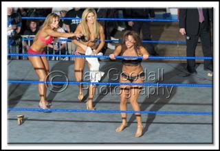 Torrie Wilson feet photo thumbnail