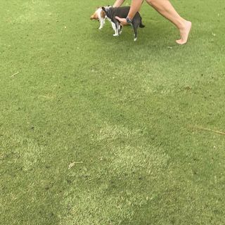 Torrie Wilson feet photo thumbnail