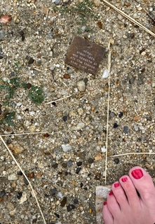 Torrie Wilson feet photo thumbnail