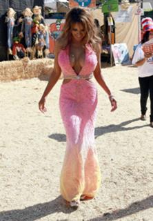 Traci Bingham feet photo 5