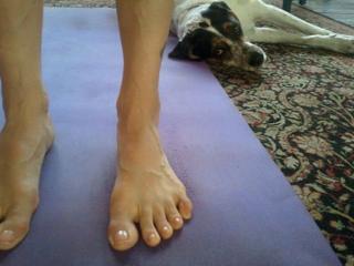 Traci Dinwiddie feet photo 19