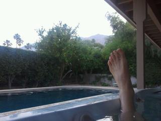 Traci Dinwiddie feet photo 14