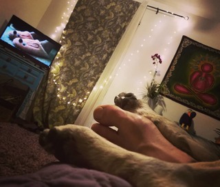 Traci Dinwiddie feet photo 15