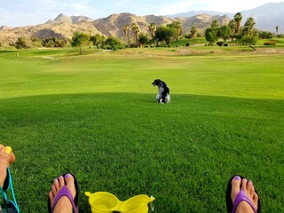 Traci Dinwiddie feet photo 10