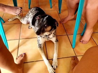 Traci Dinwiddie feet photo 8