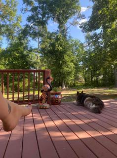 Traci Lords feet photo thumbnail