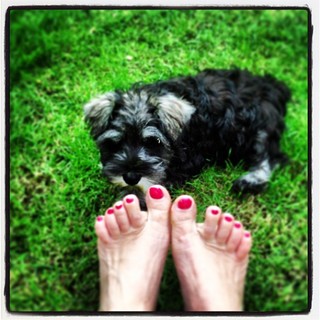 Tracy-Ann Oberman feet photo 12