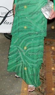 Tracy Scoggins feet photo 13
