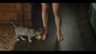 Tracy Spiridakos feet photo 7