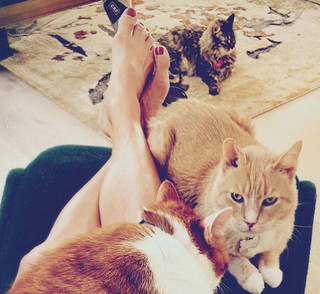 Tricia Helfer feet photo thumbnail