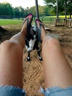 Tricia Helfer feet photo thumbnail