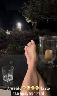 Tricia Helfer feet photo thumbnail