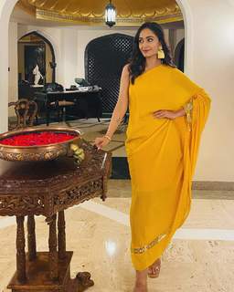 Tridha Choudhury feet photo thumbnail