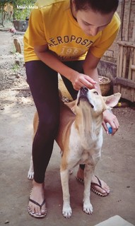 Triptii Dimri feet photo thumbnail