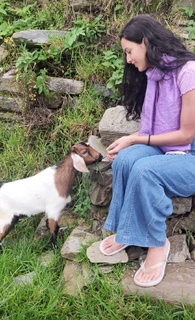 Triptii Dimri feet photo thumbnail