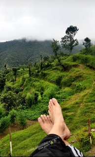 Triptii Dimri feet photo thumbnail