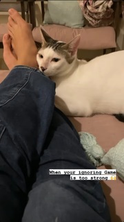 Triptii Dimri feet photo thumbnail