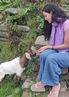 Triptii Dimri feet photo thumbnail