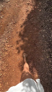 Triptii Dimri feet photo thumbnail