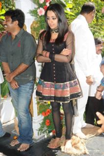 Trisha Krishnan feet photo thumbnail