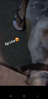 Trisha Krishnan feet photo thumbnail