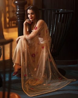Trisha Krishnan feet photo thumbnail