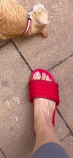 Trisha Krishnan feet photo thumbnail