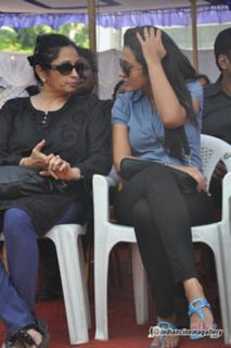 Trisha Krishnan feet photo thumbnail