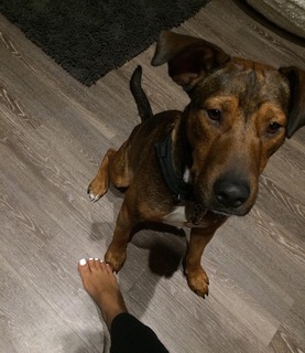 Tristin Mays feet photo thumbnail