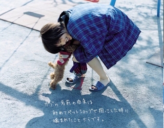 Tsubasa Honda feet photo 12
