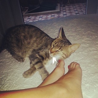 Tuba Ünsal feet photo 2