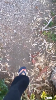Tuba Ünsal feet photo 18