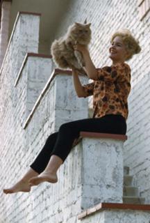 Tuesday Weld feet photo 18