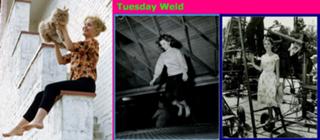 Tuesday Weld feet photo 7