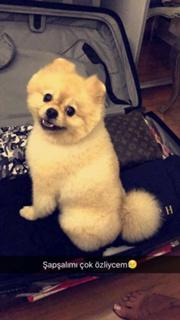 Tugce Ozbudak feet photo thumbnail