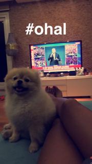 Tugce Ozbudak feet photo thumbnail