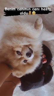 Tugce Ozbudak feet photo thumbnail