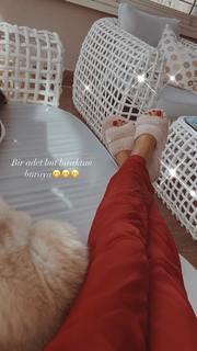 Tugce Ozbudak feet photo thumbnail