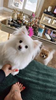 Tugce Ozbudak feet photo thumbnail