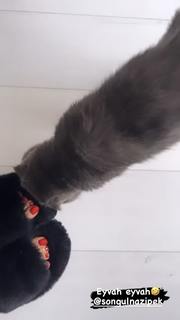 Tugce Ozbudak feet photo thumbnail