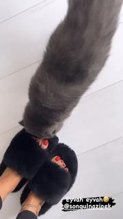Tugce Ozbudak feet photo thumbnail