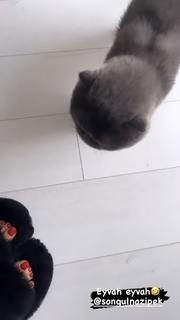 Tugce Ozbudak feet photo thumbnail