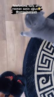 Tugce Ozbudak feet photo thumbnail