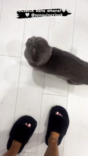 Tugce Ozbudak feet photo thumbnail