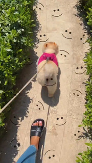 Tugce Ozbudak feet photo thumbnail