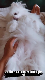 Tugce Ozbudak feet photo thumbnail