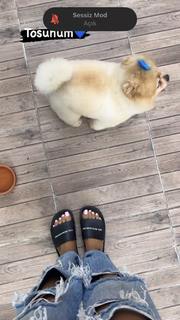 Tugce Ozbudak feet photo thumbnail