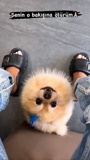 Tugce Ozbudak feet photo thumbnail